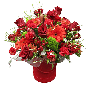 Box rosas y gerberas San Valentín 