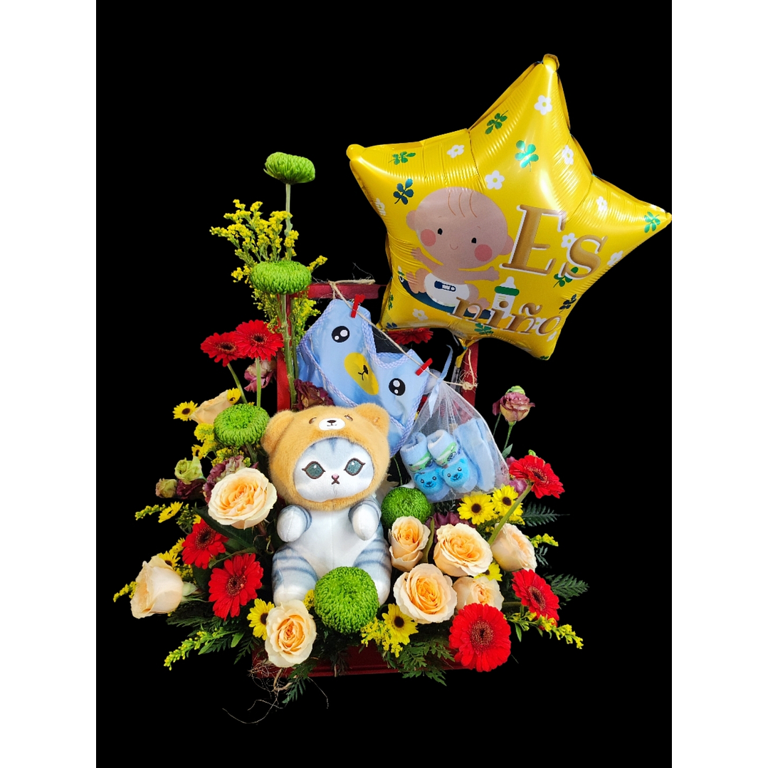 Box nacimiento gato es niño 1