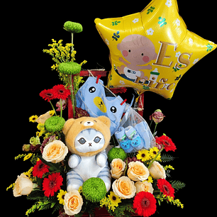 Box nacimiento gato es niño