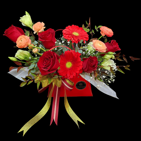 Carterita deluxe roja