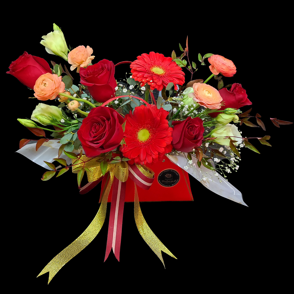 Carterita deluxe roja 1