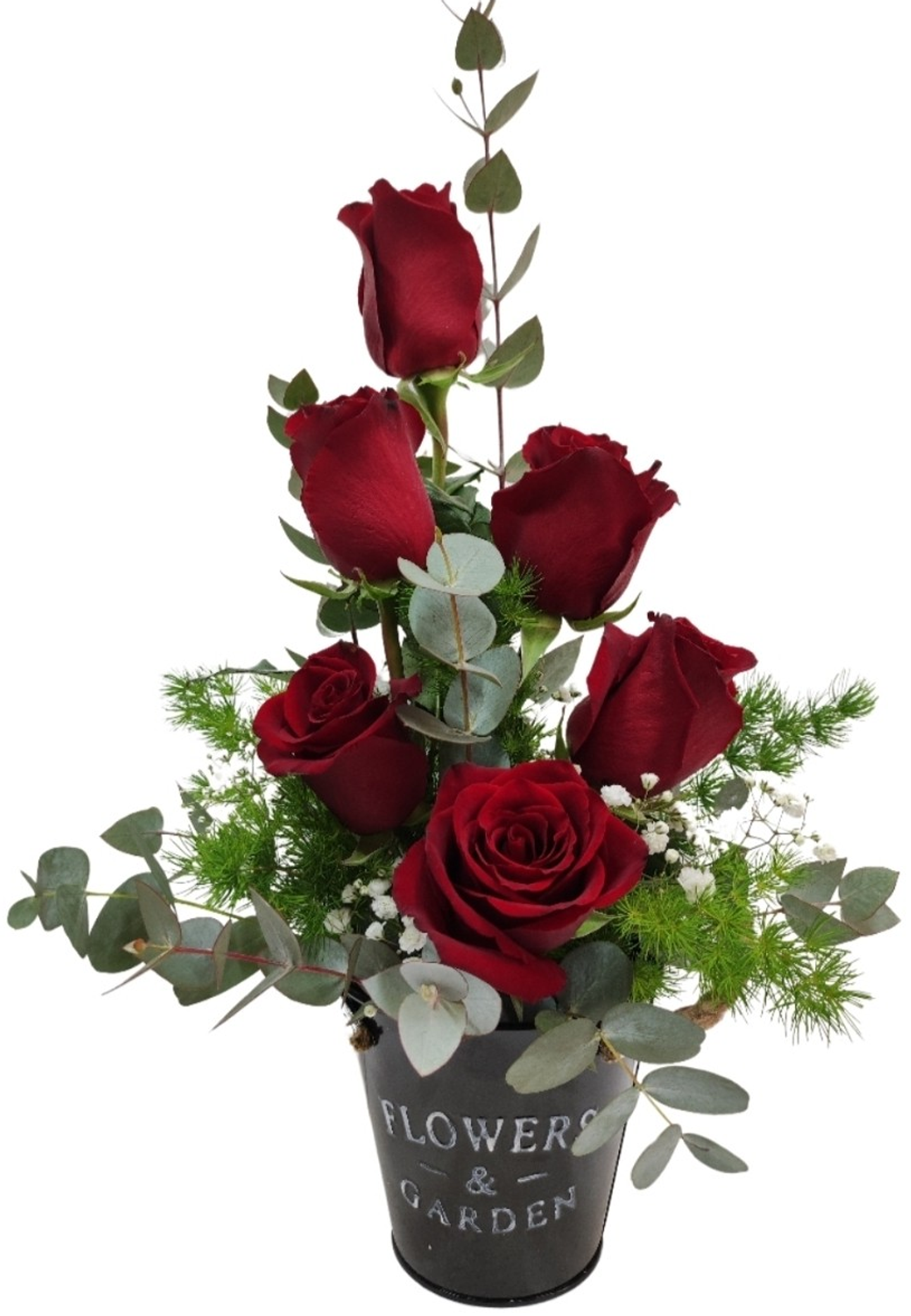 Balde mini de 6 rosas rojas  1