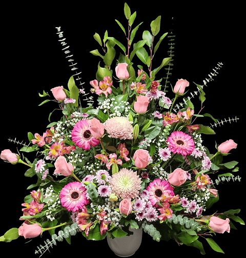 Arrimo mixto americano Rosado