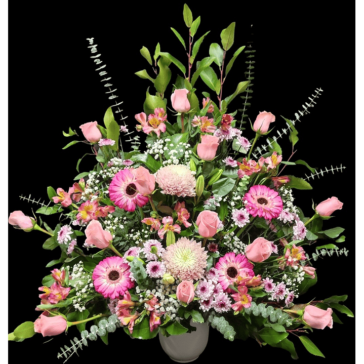 Arrimo mixto americano Rosado 1