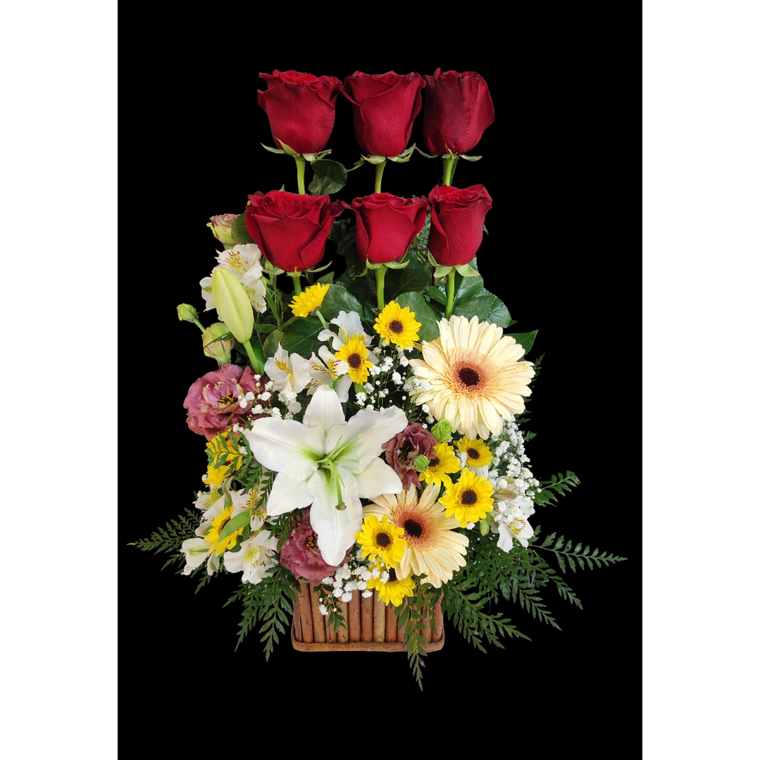 Paralelo de rosas rojas  1