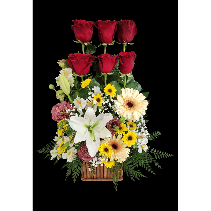 Paralelo de rosas rojas  1