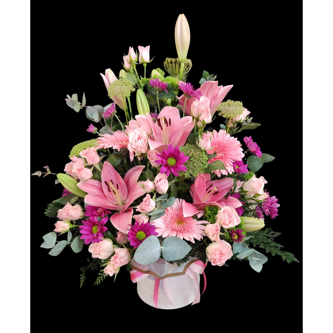 Box arrimo dulzura 1