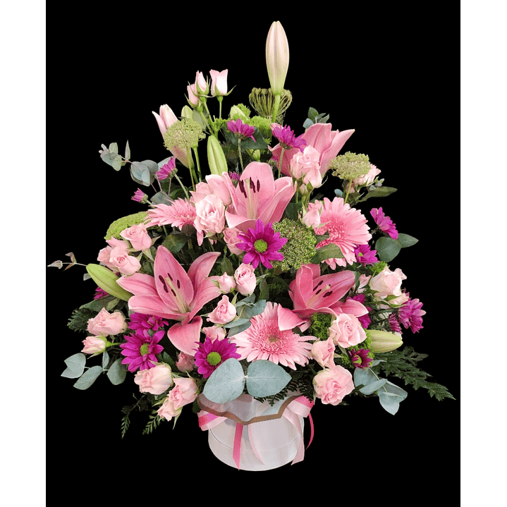 Box arrimo dulzura 1