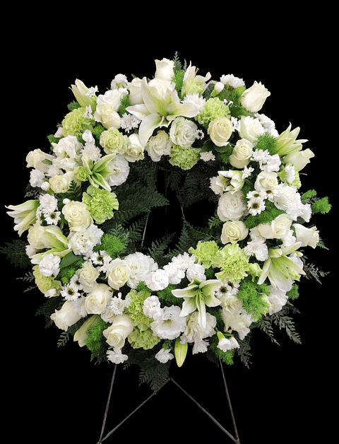 Corona Deluxe Green white en atril