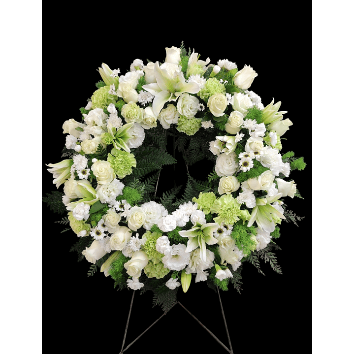 Corona Deluxe Green white en atril 1