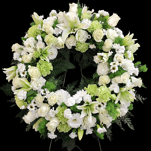 Corona Deluxe Green white en atril