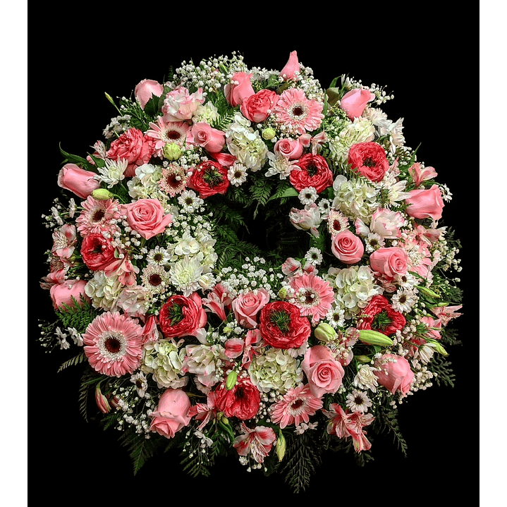 Corona excélsior rosada 1