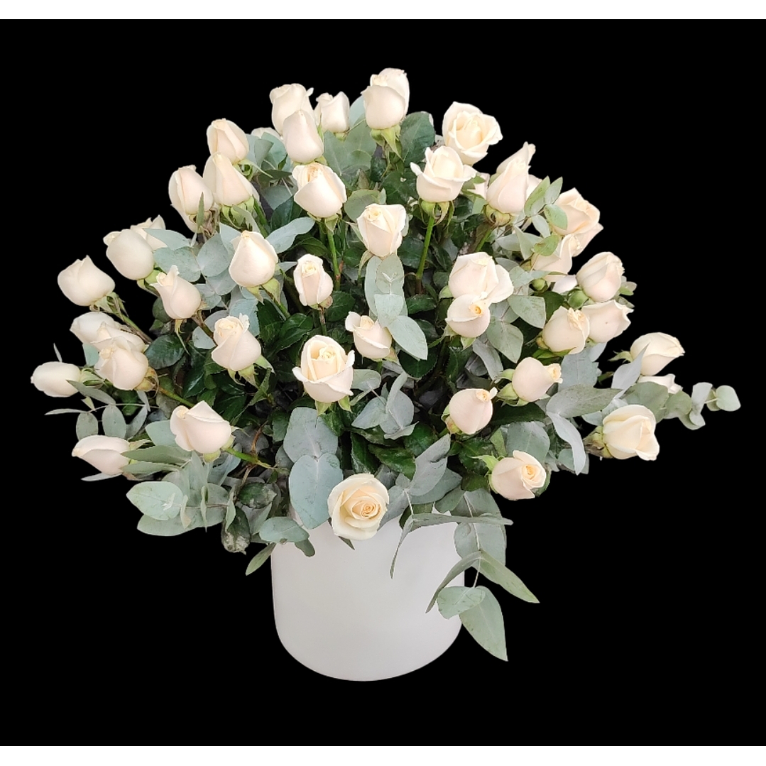 Maceta de 100 rosas blancas con eucaliptos 1