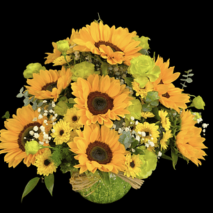 Pecera de girasoles y lisianthus 