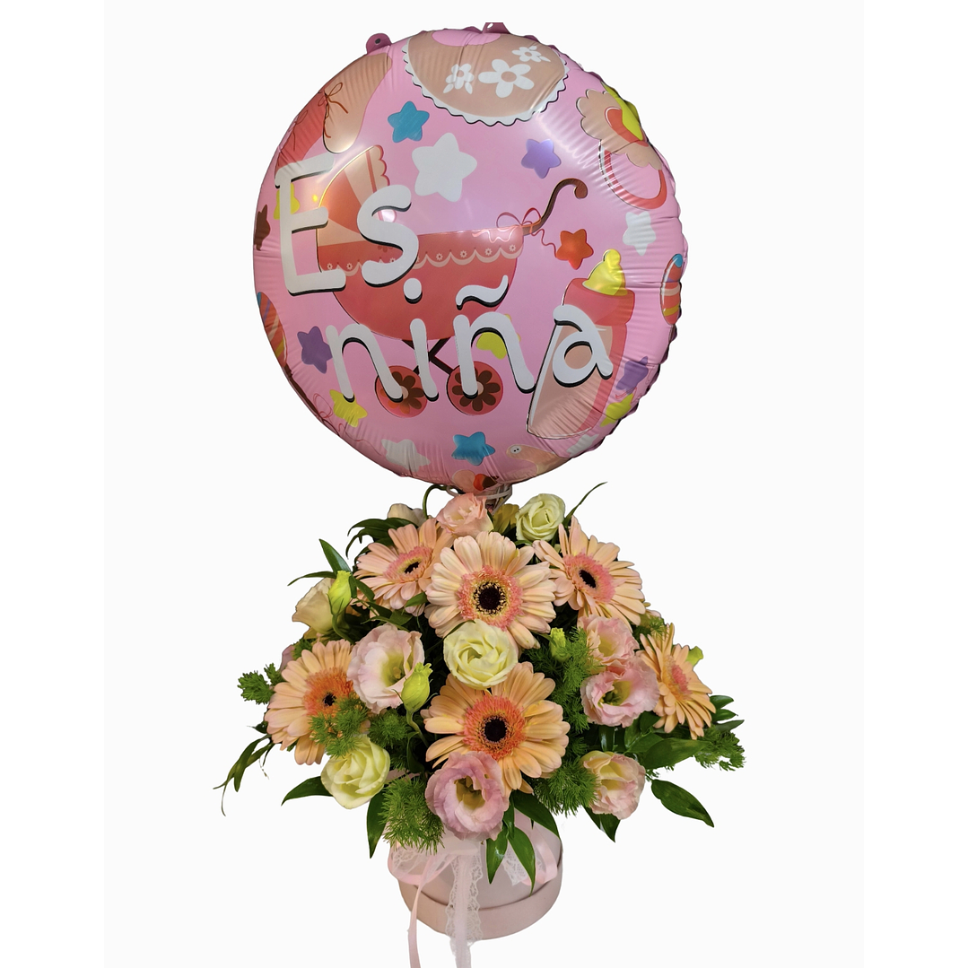 Box gerberas Pastel de Nacimiento  1