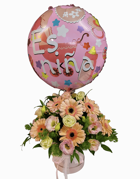 Box gerberas Pastel de Nacimiento 