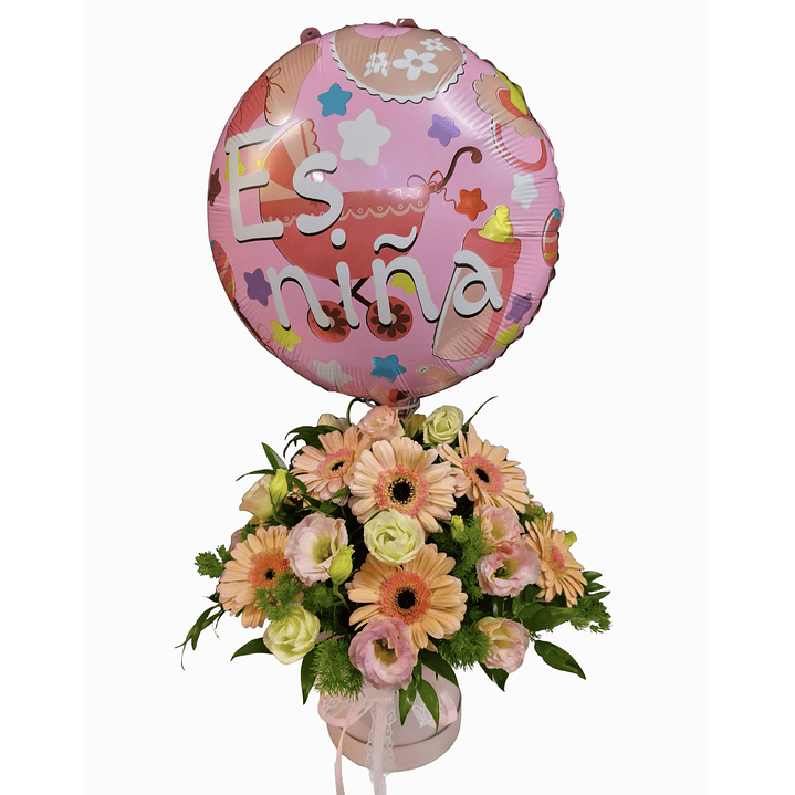 Box gerberas Pastel de Nacimiento  1