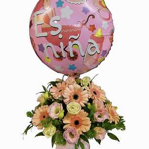 Box gerberas Pastel de Nacimiento 