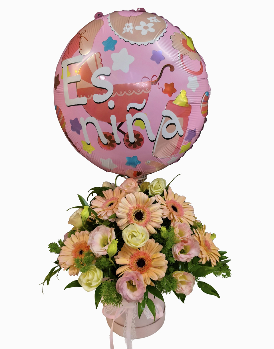 Box gerberas Pastel de Nacimiento  1