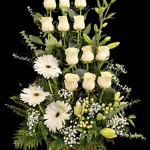 Paralelo de rosas blancas y gerberas 