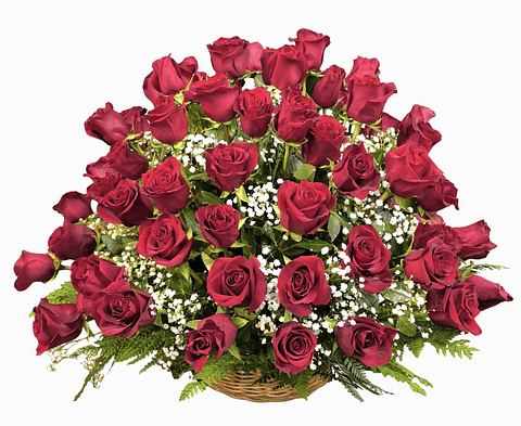 Gran cesta de 100 rosas rojas 