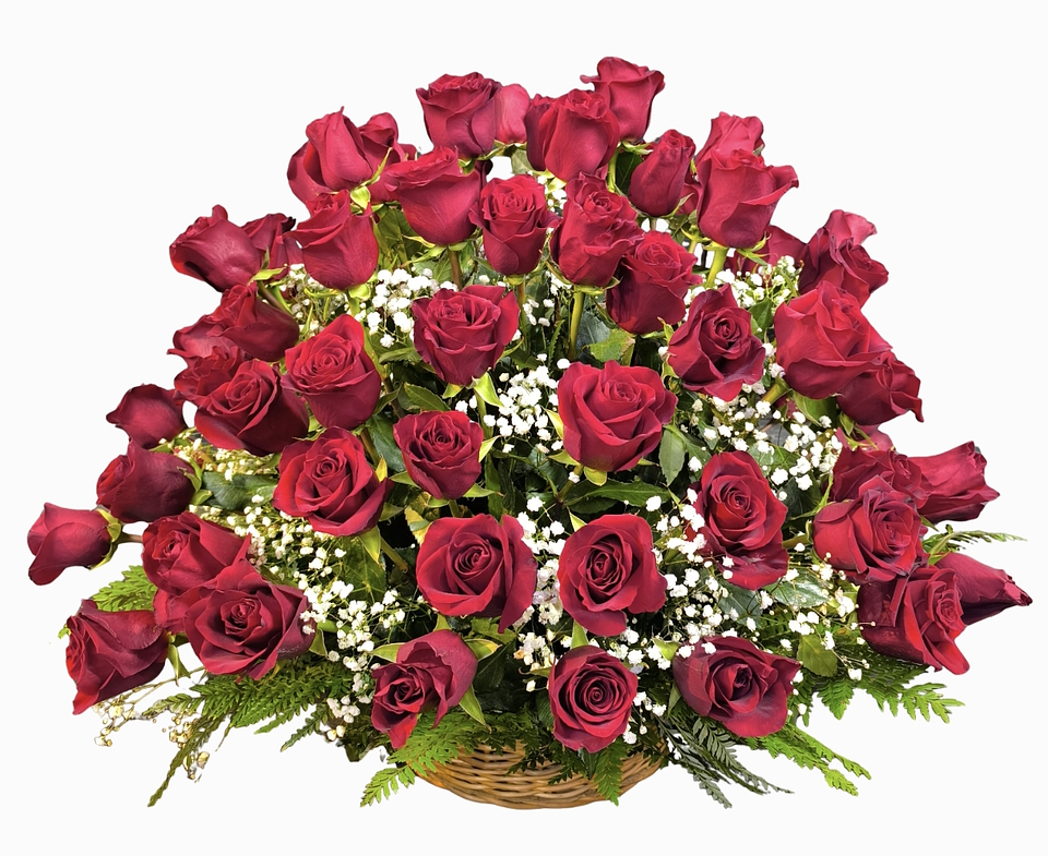 Gran cesta de 100 rosas rojas  1