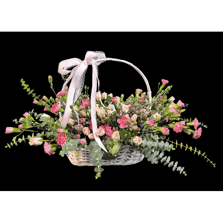 Cesta de nacimiento  1