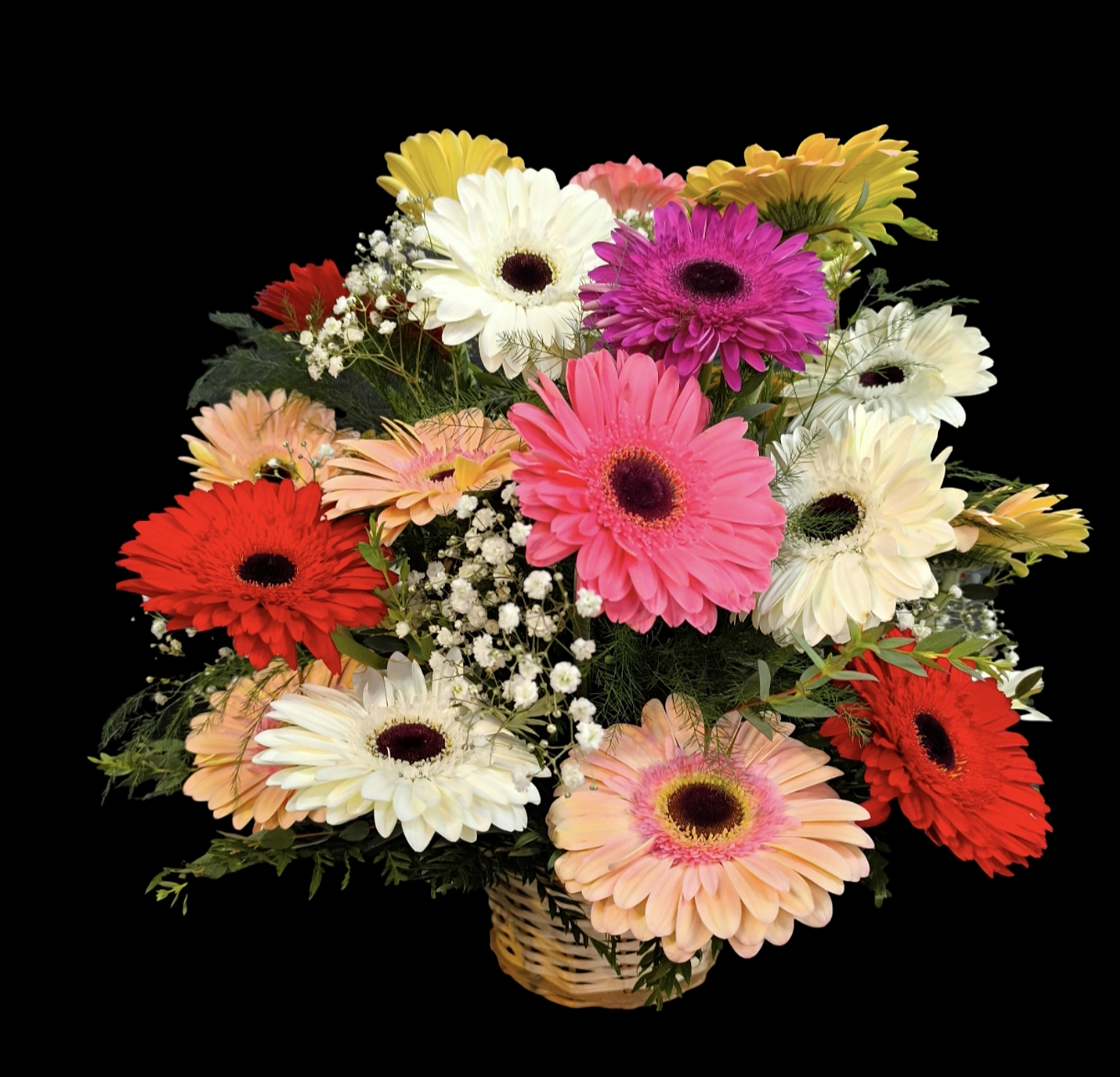 Cesta mixta gerberas  1