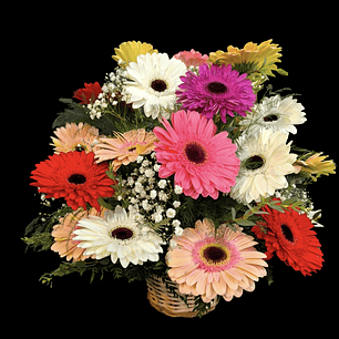 Cesta mixta gerberas 