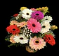 Cesta mixta gerberas  - thumbnail 1