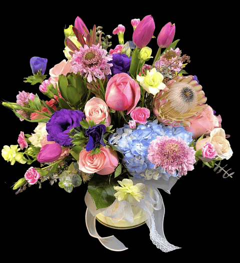 Box primavera Deluxe 