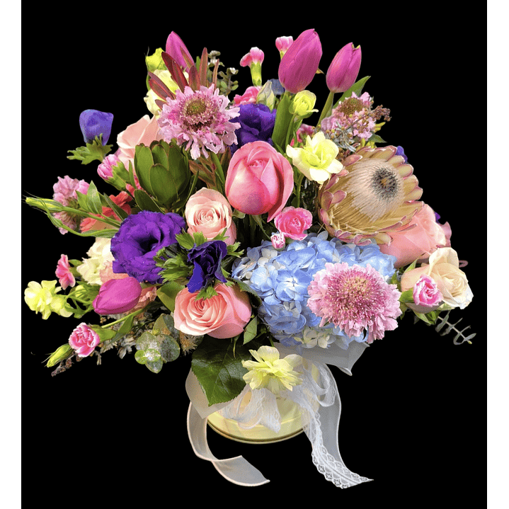 Box primavera Deluxe  1