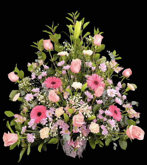 Arrimo grande de condolencias 