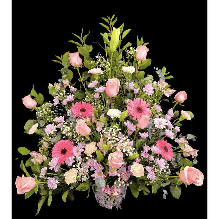 Arrimo grande de condolencias  1