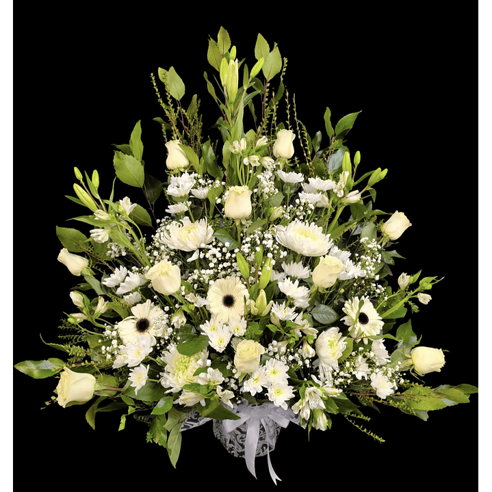 Arrimo grande blanco  1