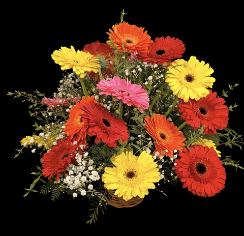Cesta de gerberas multicolor 