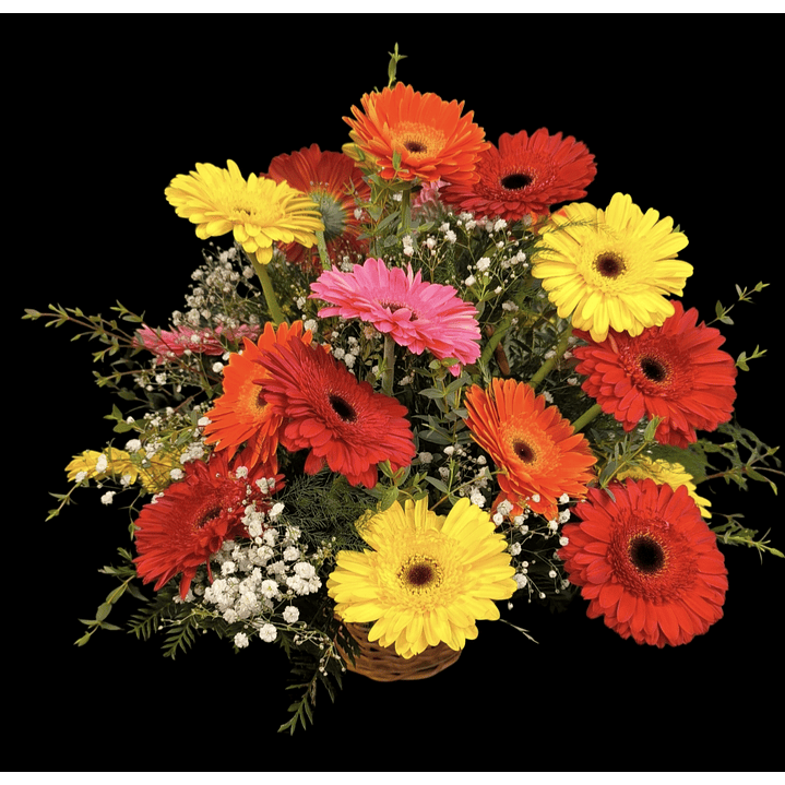 Cesta de gerberas multicolor  1