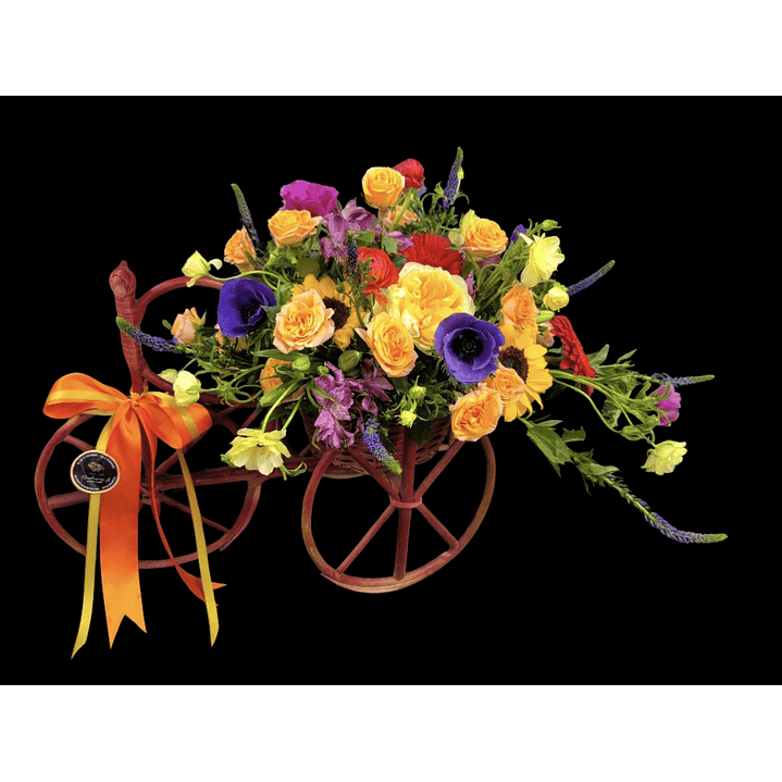 Triciclo mimbre colorido grande   1