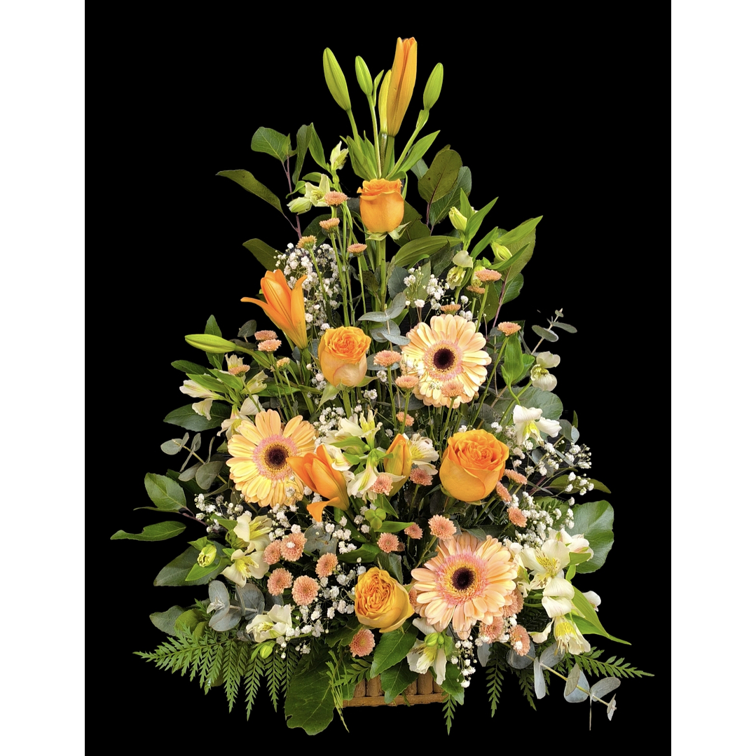 Arrimo pastel petit  1