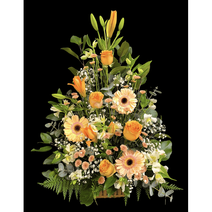 Arrimo pastel petit  1