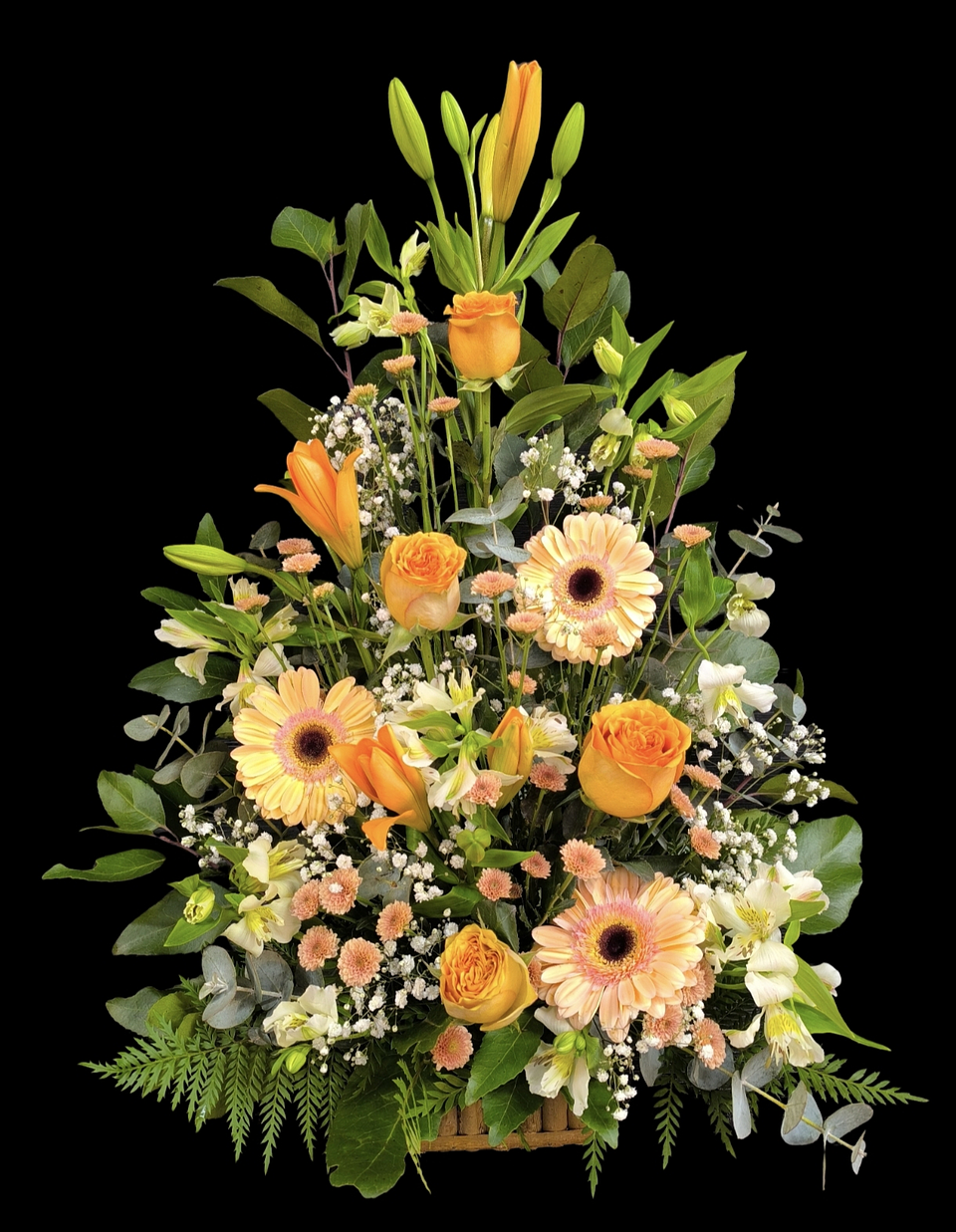 Arrimo pastel petit  1