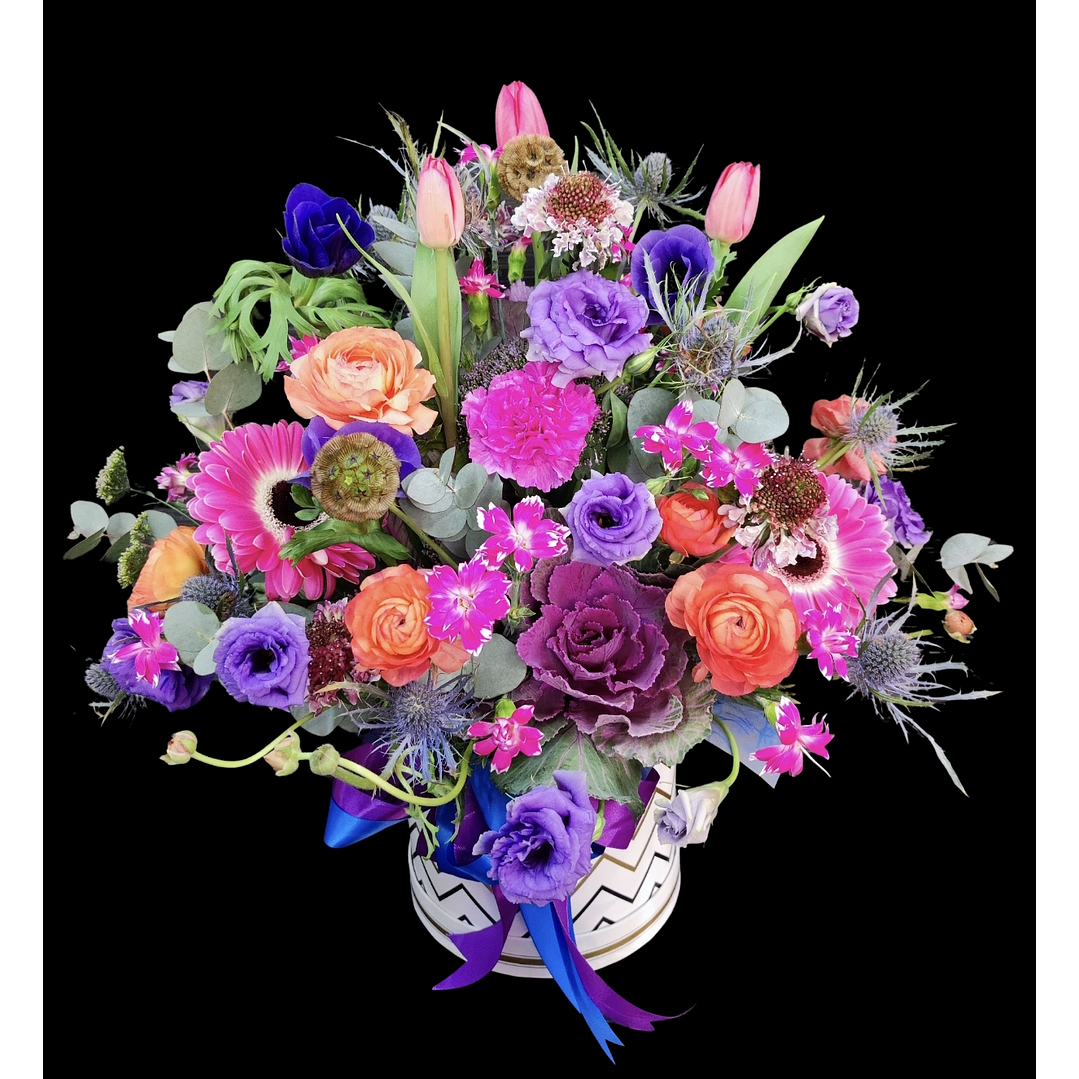 Gran box invernal  1