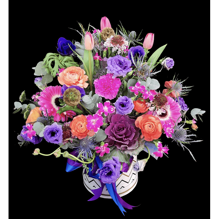 Gran box invernal  1