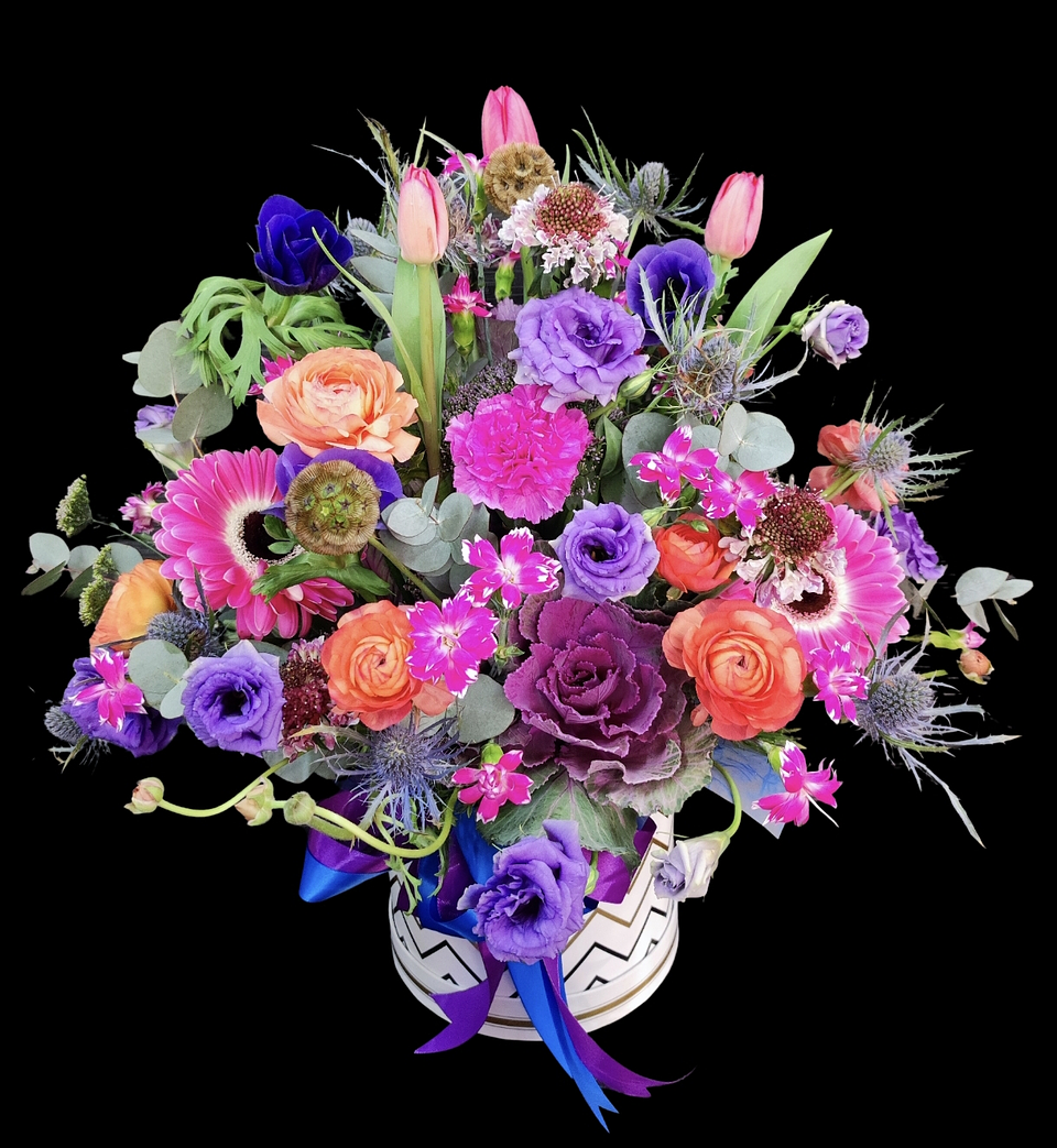 Gran box invernal  1