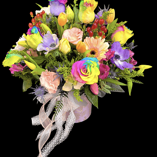 Box beautiful colors