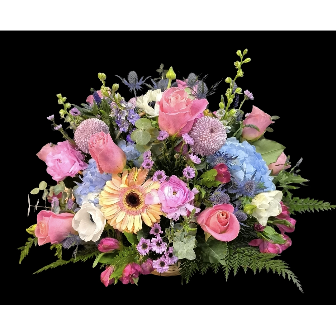 Cesta Bristela deluxe 1