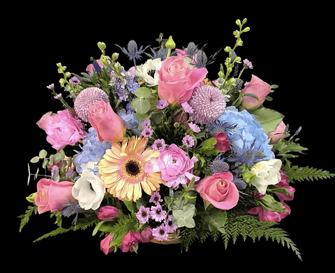 Cesta Bristela deluxe