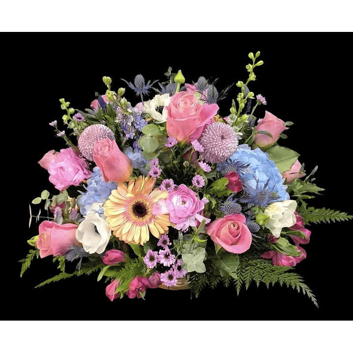 Cesta Bristela deluxe 1