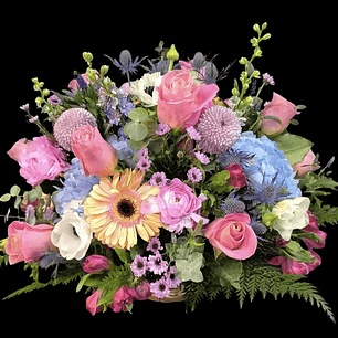 Cesta Bristela deluxe