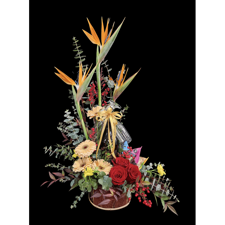 Vegetativo de aniversario 1